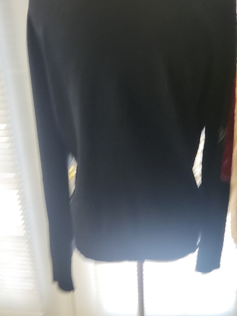 U-Knit Dresses Black Blazer with Red Rose Embroidery and Faux-Fur Collar - Picture 4 of 5